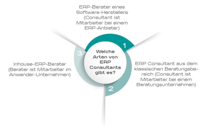 Arten von ERP Consultants