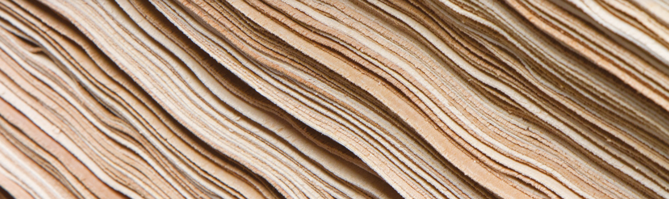 DEUTSCHE HOLZVEREDELUNG Schmeing GmbH & Co. KG Blechverarbeitung,ERP,Software,Blechbearbeitung | COBUS ConCept